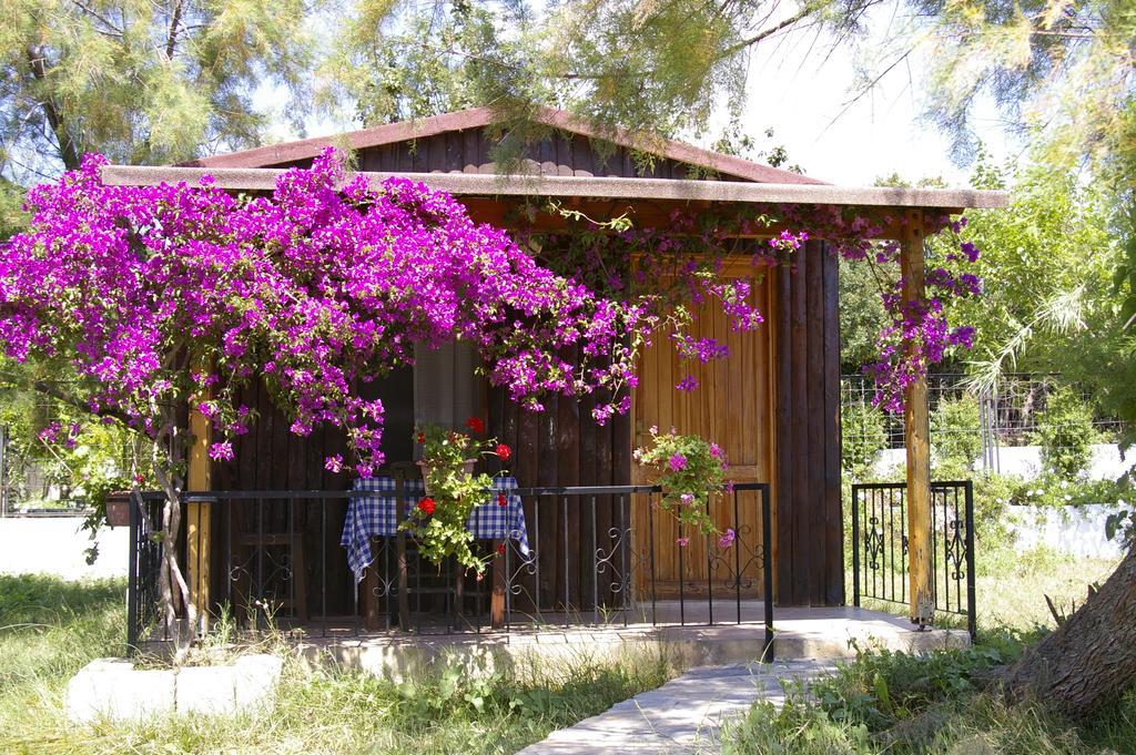 Arriba Pension & Restaurant กูมูชลุค ภายนอก รูปภาพ